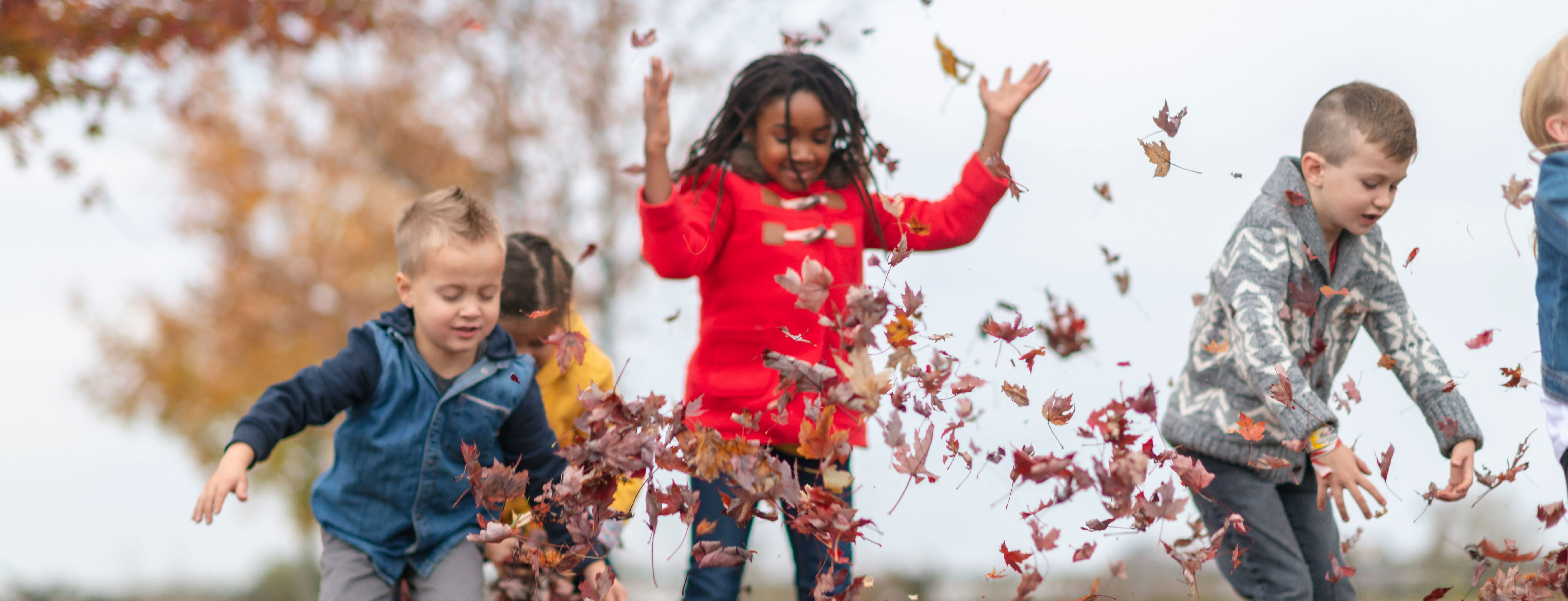 Children playing with leaves in the forest
