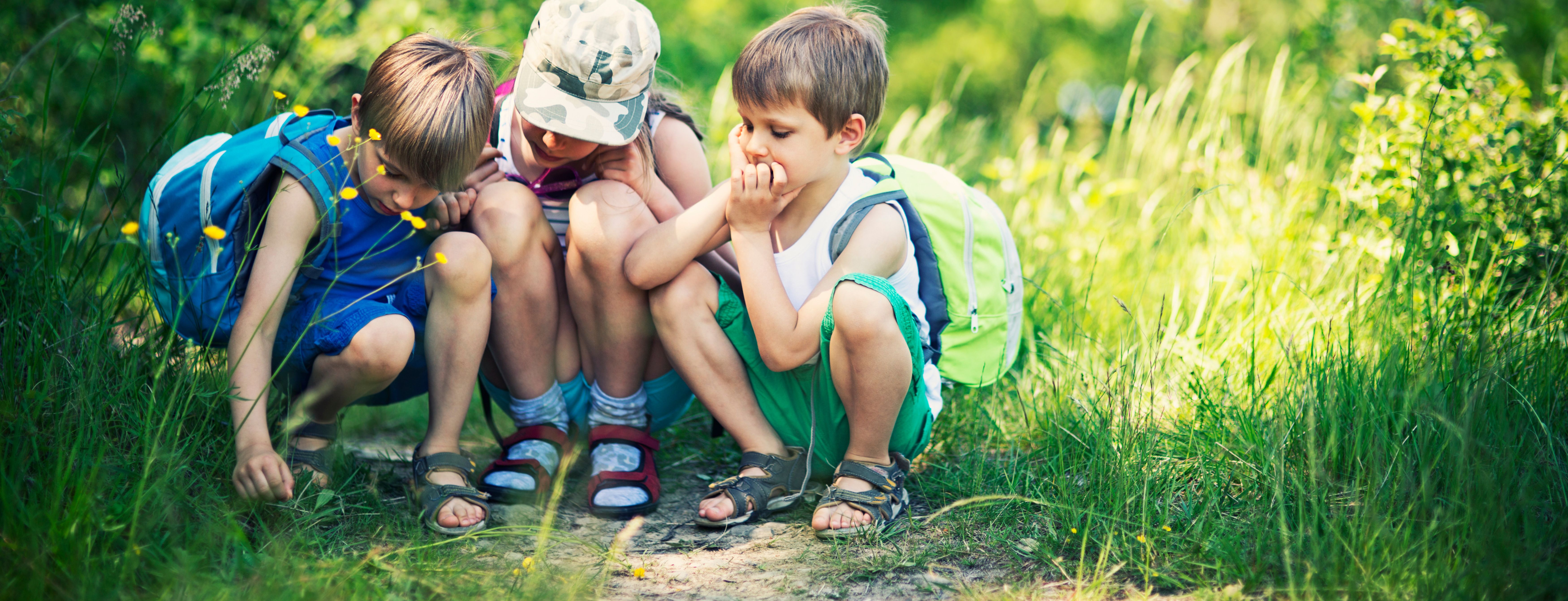 Children looking at the forest floor