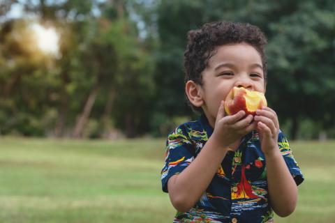 Child biting into an apple, with a green park area behind him
