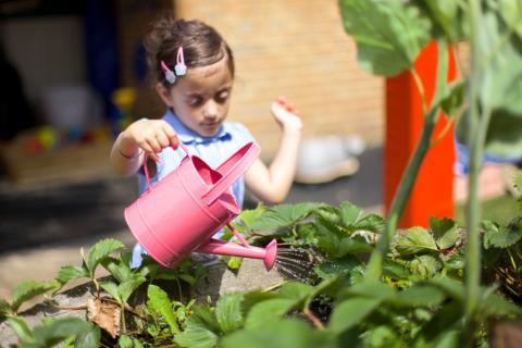 A child waters some plants