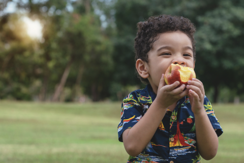 Young boy eating apple with grass and trees in the background