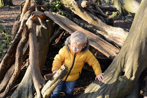 Child building a den