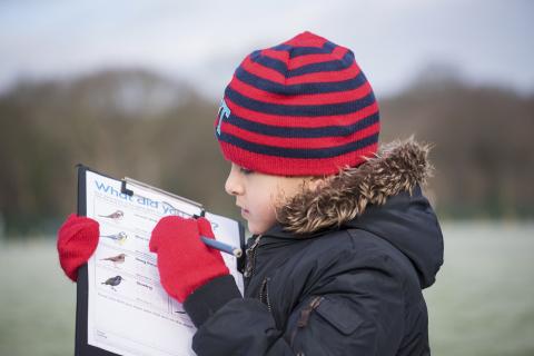 a young boy birdwatches