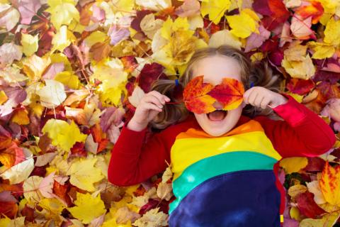 Child playing in autumn leaves