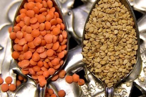 Lentils