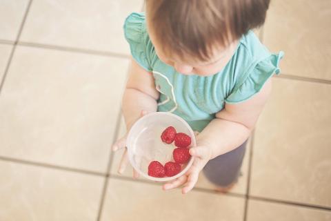 Toddler and berries