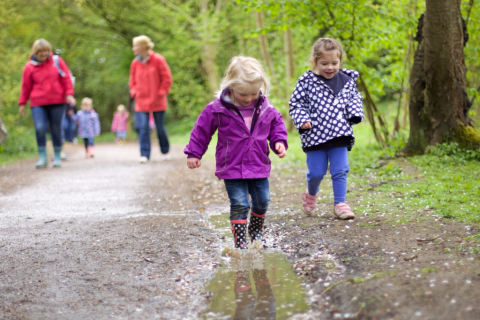 if you go into the woods, fun in the woods, fun woodland activities for you and your child