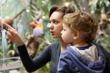 museums for toddlers, toddler-friendly, educational
