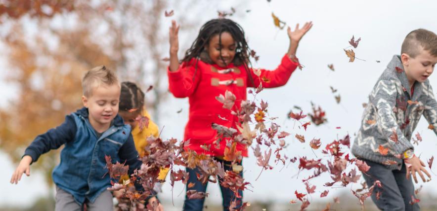 Children playing with leaves in the forest