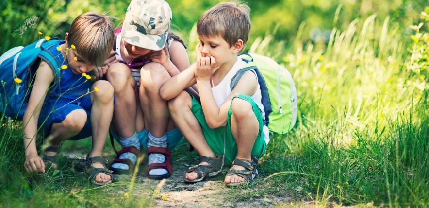  Children looking at the forest floor