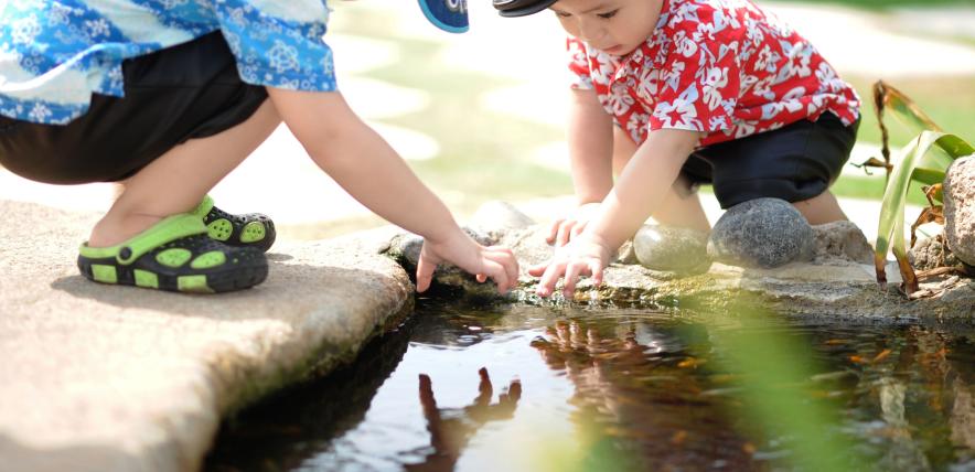 Children discovering a pond, reaching their hands in