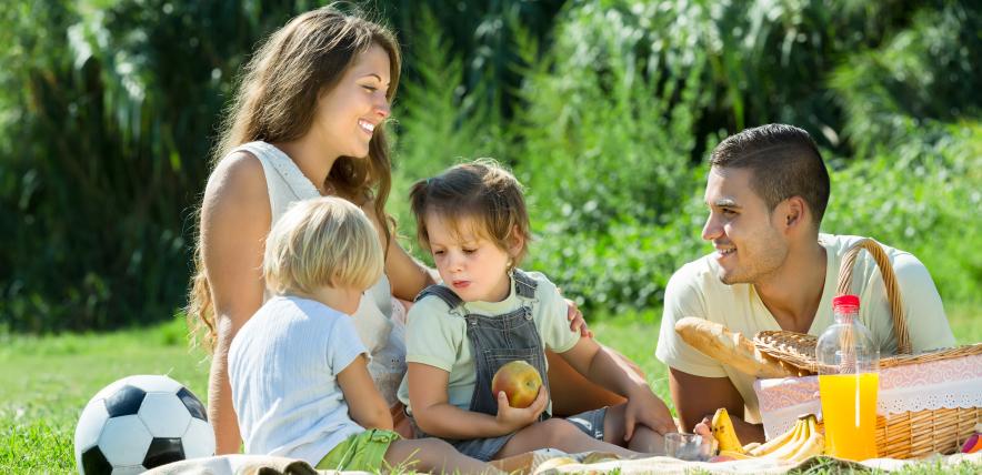 Family having a picnic on a field