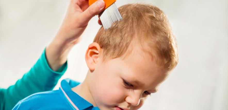 Parent treating son's head lice