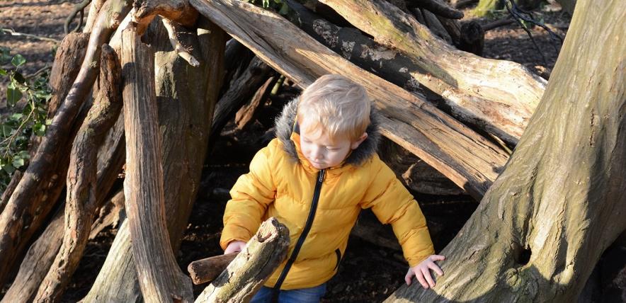 Child building a den