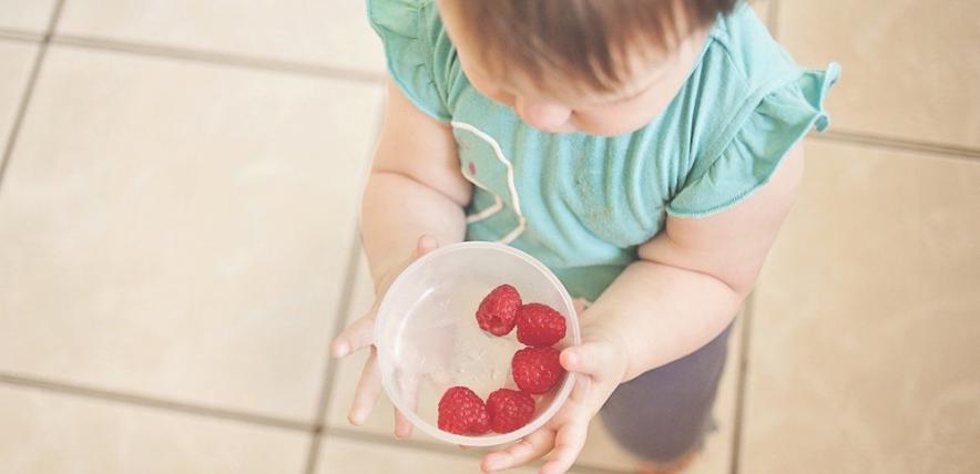Toddler and berries
