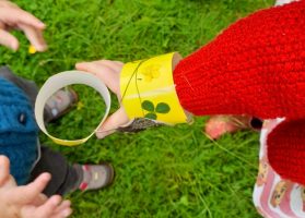 nature bracelet